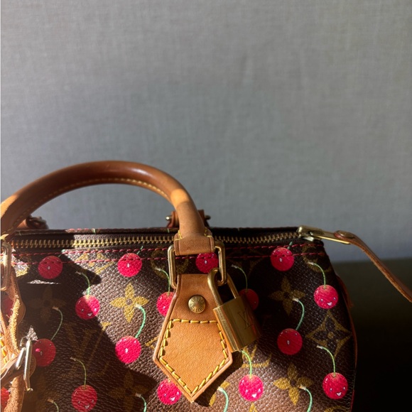 Louis Vuitton Cherry Speedy - Picture 3 of 12